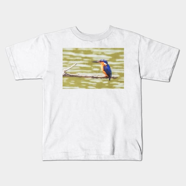 Malagasy Kingfisher Kids T-Shirt by GrahamPrentice